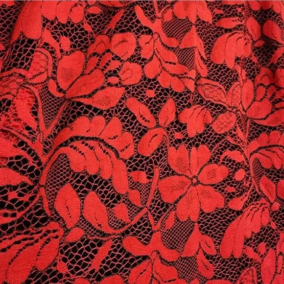 Tommy Hilfiger Red Lace Drop Waist A-Line Dress Size 14 NWOT - Picture 7 of 11